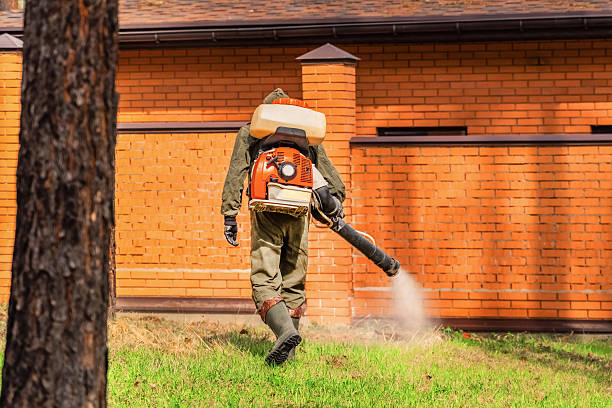 Bed Bug Clearance Verification and Documentation in Lacy-Lakeview